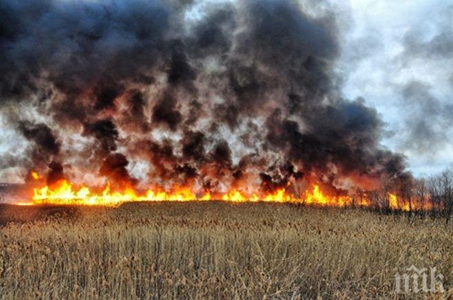 Пожар бушува край помпените станции в Пловдив, мощен вятър пречи на гасенето