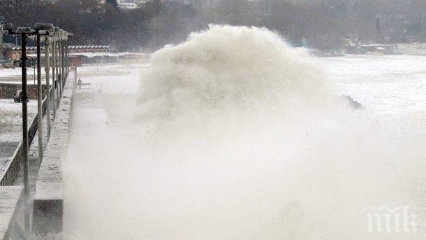 Япония ще строи стена за предпазване от цунами