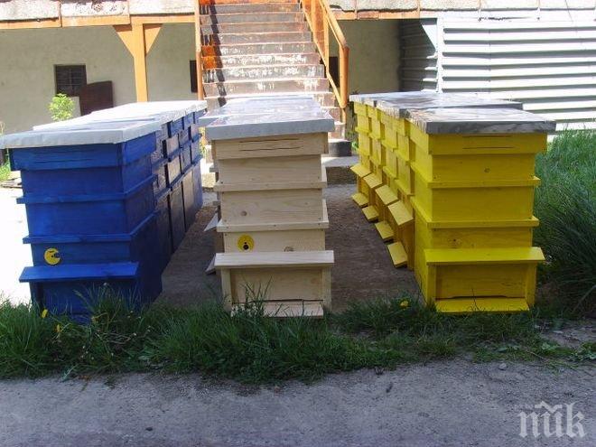ДФ „Земеделие вече приема документи за плащане по пчеларската програма