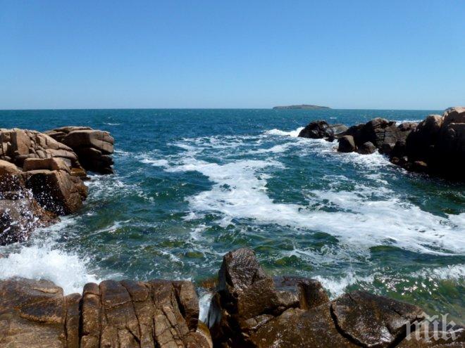 Черно море чисто от микроби, в почвата дебне антракс