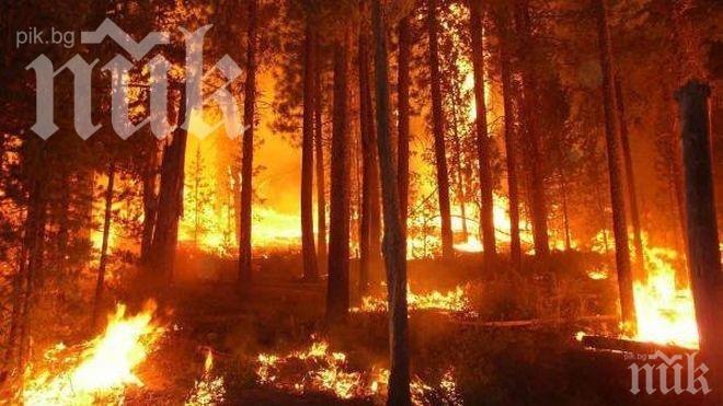Голям горски пожар в Испания, евакуираха 600 души