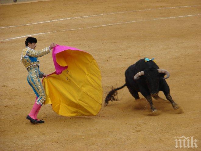 Испанците затягат яко коланите