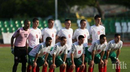 лъвчета започнаха подготовка европейското унгария