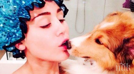 майли преодоля траура снимки