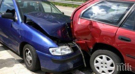 пет коли забъркани мелето пътя созопол бурас