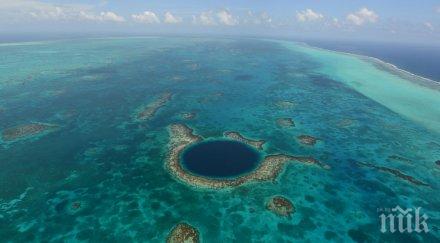 години изчезнат кораловите рифове карибско море