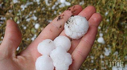 градушка унищожи реколтата смолянско