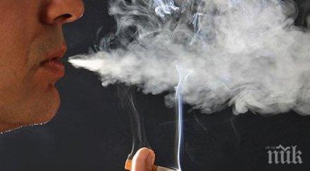 тютюна нас продава нелегално твърдят търговци