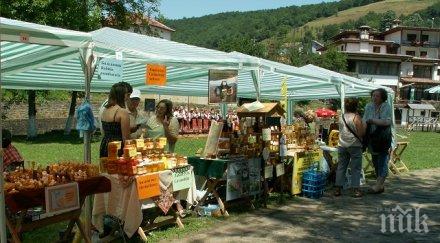 национален пчеларски събор проведе етъра