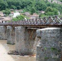 Слънчогледи никнат на Аспаруховия мост (снимка)