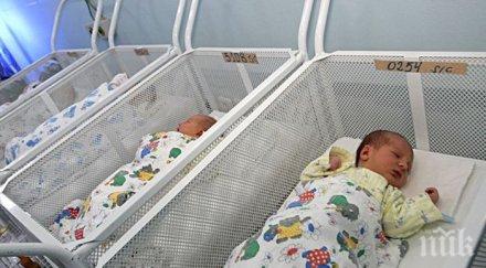 италианци масово напират осиновяват наши деца