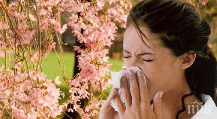 връхлитат все голям брой алергии