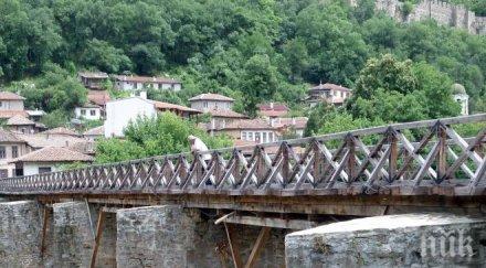 слънчогледи никнат аспаруховия мост снимка