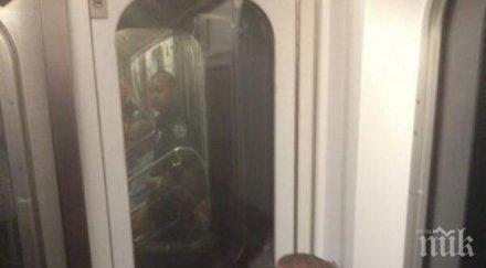 новият хит релфитата дразнещите селфита