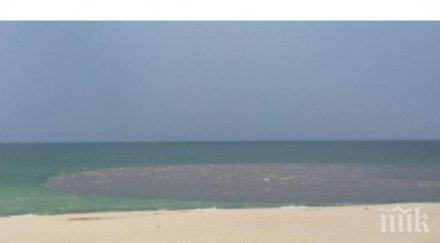 уникална машина чисти плажа варна