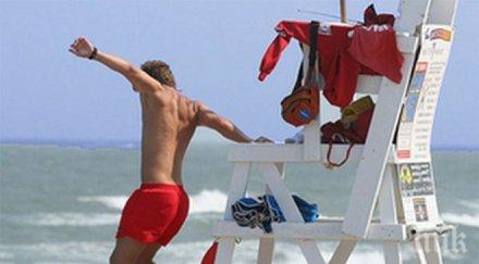 търсят спасители безстопанствени плажа