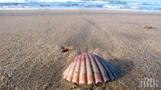 Невероятно! Тест с миди показва каква личност сте

