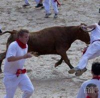 Петима са в болница след традиционното надбягване с бикове в Испания
