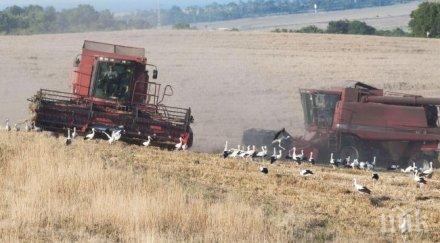 кабинетът позволил проучвания въглищен газ