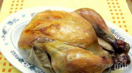 опасност полски пилета салмонела пазара