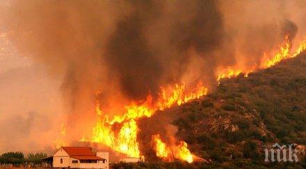 голям пожар бушува западна гърция