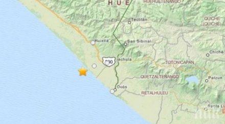 жертви силното земетресение бреговете мексико