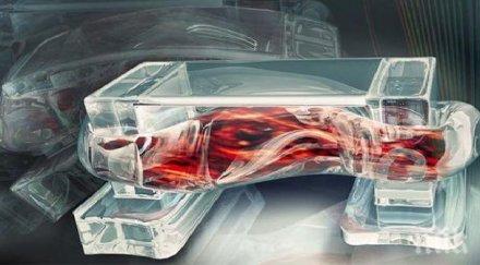 робот движи помощта мускулни клетки