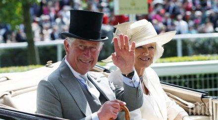 камила иска 200 милиона паунда чарлз мълчи