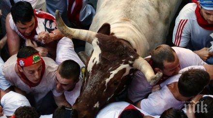 започва лудото надбягване бикове улиците испания