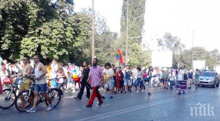 без инциденти премина шествието толерантността софия прайд