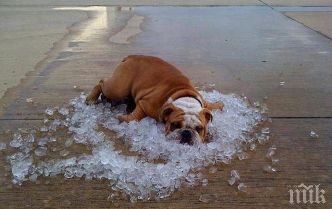 Meteo Balkans с ВАЖНО предупреждение: Идват адски горещини