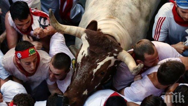 Започва лудото надбягване с бикове по улиците в Испания