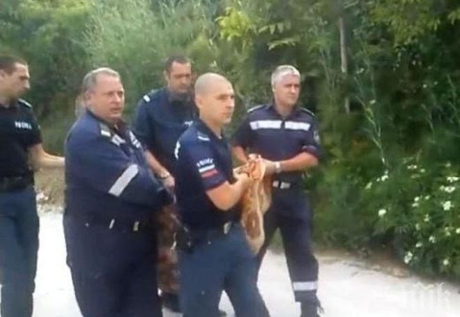 Извлякоха в одеяло инвалид от дома му в Аспарухово“ (снимки)