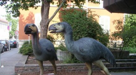 доказано свиреп хищник оказа тревопасно