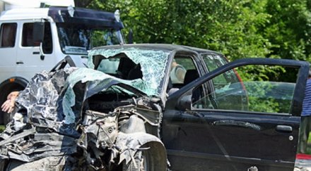 двама берат душа зверска катастрофа