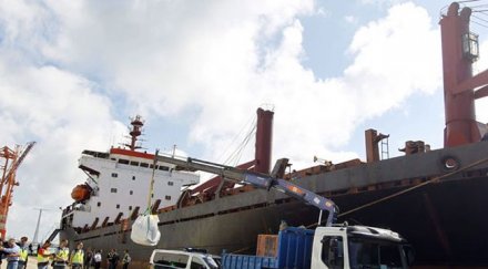 моряците свети николай мръзнат кучета испания