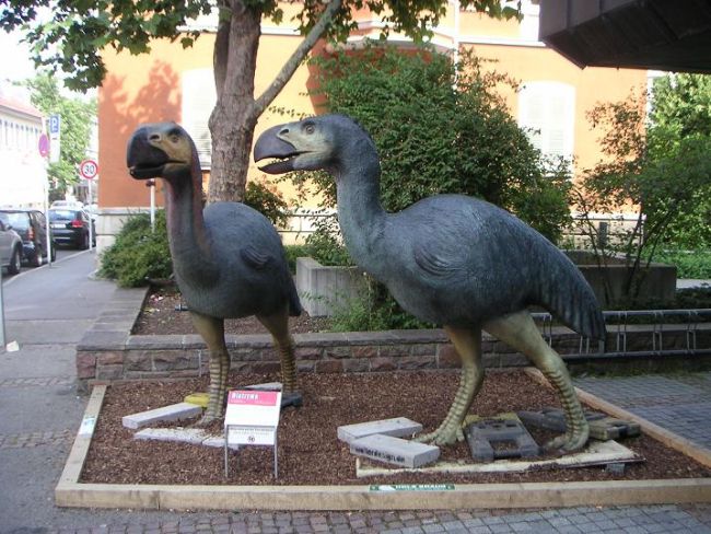 Доказано! Свиреп хищник се оказа тревопасно