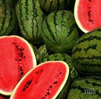 Производителите на дини пред фалит, цената им се срина