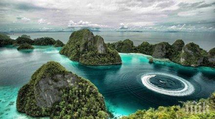 190 милиона избират президент индонезия