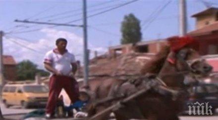 полски националисти започнаха антиромска кампания