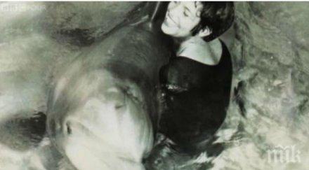 вижте видео историята взриви интернет часове делфин прави секс учен наса