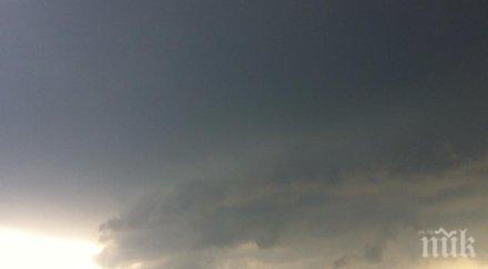 дървото убиец борисовата градина било опасно бурята