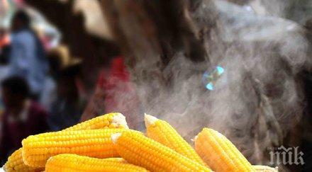 развалена царевица прати души болница