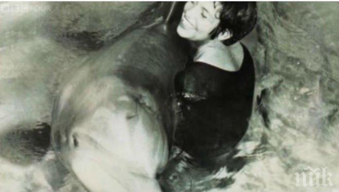 Вижте видео от историята, която взриви интернет за часове - делфин прави секс с учен от НАСА!