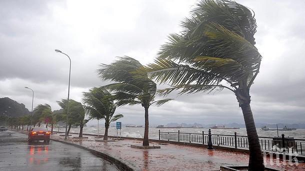 80 хиляди домакинства останаха без ток след тайфуна „Неогури в Япония