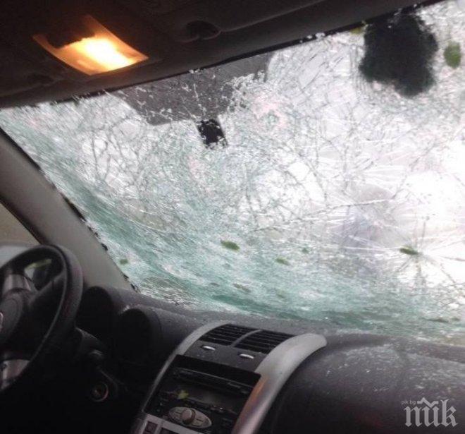 Големи опашки се извиха пред стъкларските работилници в София