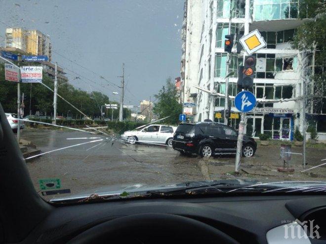 Бурята в София уби човек, хора са блокирани в затисната от дърво кола (обновена и снимки)