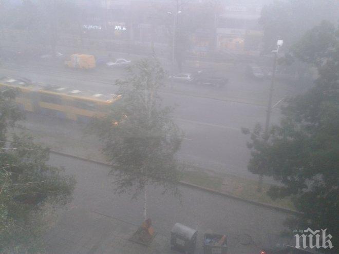 Силната буря спря движението в района на Сточна гара
