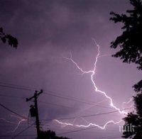 Дърво уби две деца по време на силна буря в Русия