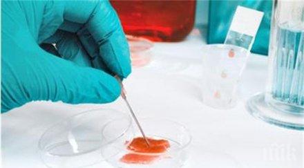 болните рак отслабват вижте уникалното обяснение учени